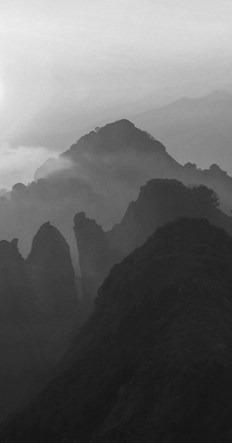 愿景